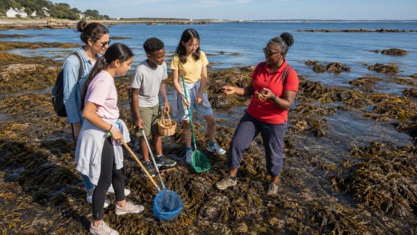 Que faire au guilvinec, capitale de la pêche ?